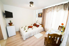 Гостиница Królewski Apartament  Краков